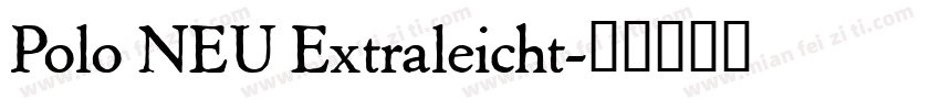 Polo NEU Extraleicht字体转换